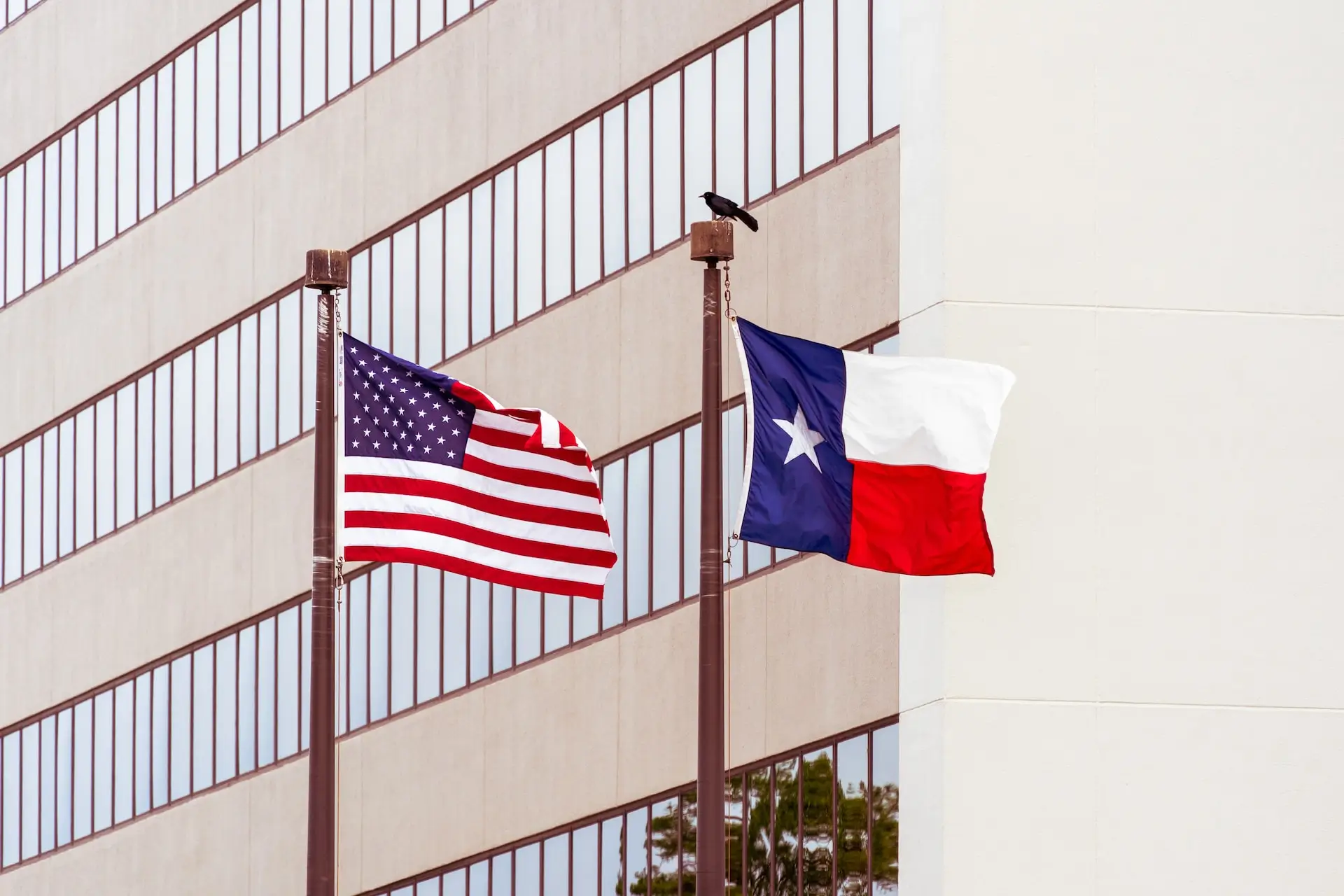 Texas Flag